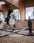 Child riding a white horse jumping over a crossrail jump in an indoor arena
