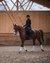 Donna che cavalca un cavallo marrone in un maneggio coperto