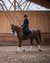 Donna che cavalca un cavallo marrone in un maneggio coperto