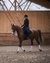 Woman riding a brown horse in an indoor riding arena