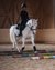 Bambino cavalca un cavallo bianco sopra pali colorati in un maneggio coperto