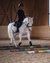 Child riding a white horse over colorful poles inside an indoor riding arena