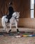 Kind reitet ein weißes Pferd über bunte Stangen in einer Reithalle