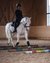 Kind reitet ein weißes Pferd über bunte Stangen in einer Reithalle