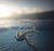 Winklerhotels: premium winter holidays in South Tyrol