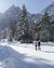 Zwei Menschen gehen auf einem verschneiten Weg zwischen Tannen und Bergen